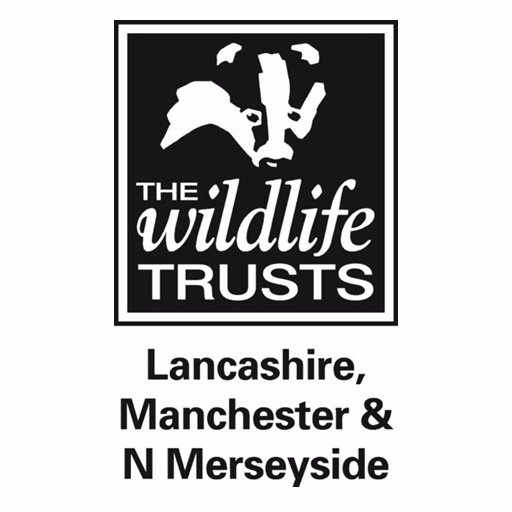 Wild_Trust's tweet photo. For more than a century the wildlife trust have been saving wildlife and wild places, increasing people's awareness and understanding of the natural world, and deepening people's relationship with it. And with you're help you can continue this journey at  https://t.co/OjPE3YNH1c https://t.co/flHrwuNIb2