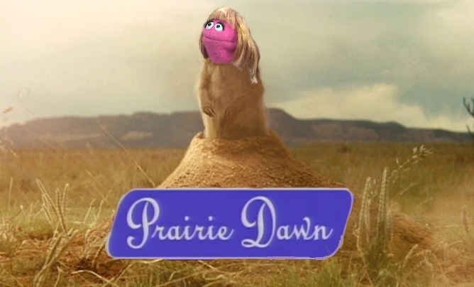 Prairie Dawn - wide 6