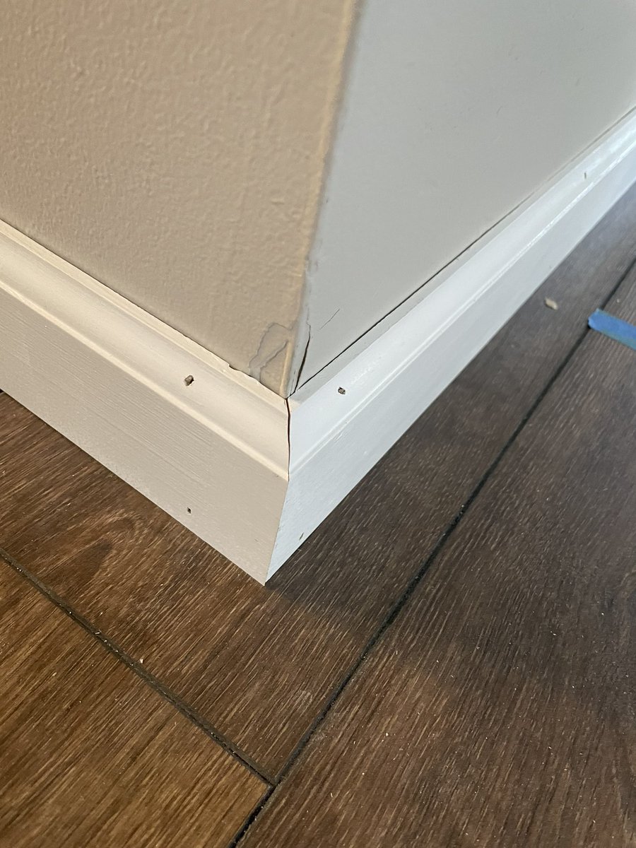 an algae bra on Twitter "I base trimmed my living room all by myself today!! (feat the nicest