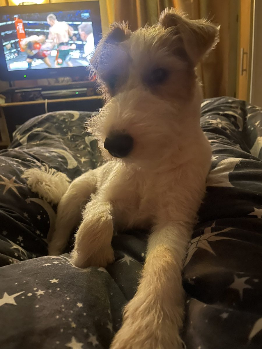 She has been good tonight , so naughty sometimes