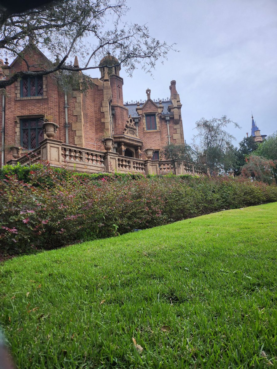 At this point I could be a disney blogger lol