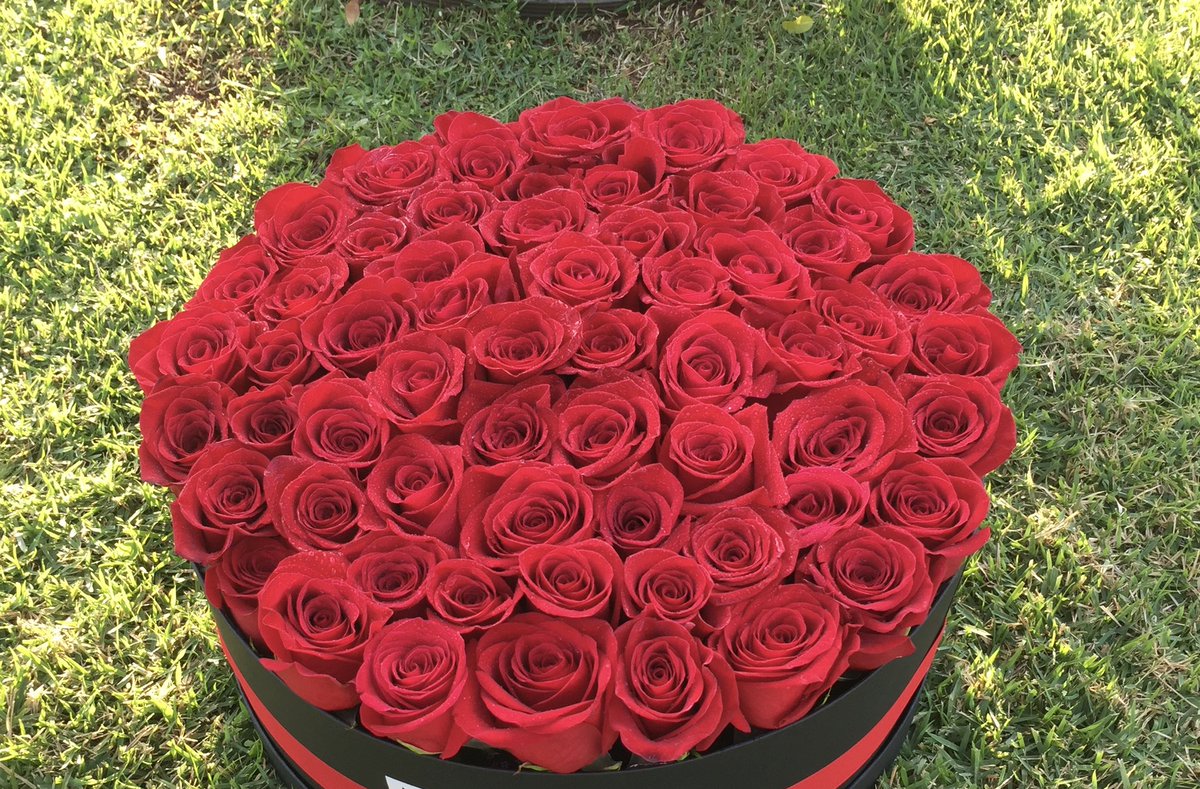 ana_pgz's tweet photo. Si sos de Villarrica o la persona a quien le queres mandar flores es de acá.. llego tu solución 😎😆 en Instagram estamos como @floresdemargot y en Whatsapp nos contactas al 0981338864 ❤️ espero sus pedidosssss! Favor RT 🫶🏼 https://t.co/Uts0ctZKo9