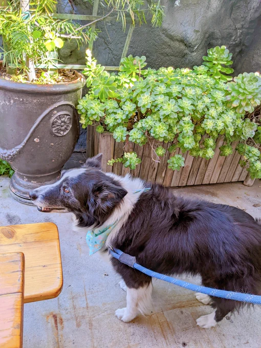 kuni out with the fam for lunch 