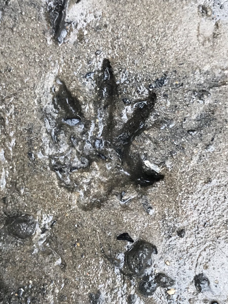 russell miller tweet media