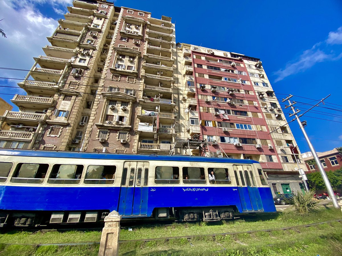 Mohamed El-Shahed tweet media