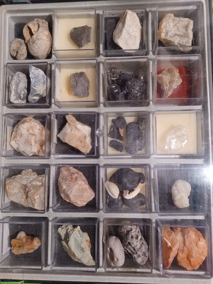 MoviesArtMT's tweet image. Hello guys, here you can see the best part of my #stonecollection Fossils, Silex, limestone, cuartz, volcanic stones, desert flower, salt crystal, red marble, flint rock, pyrite and others #minerals