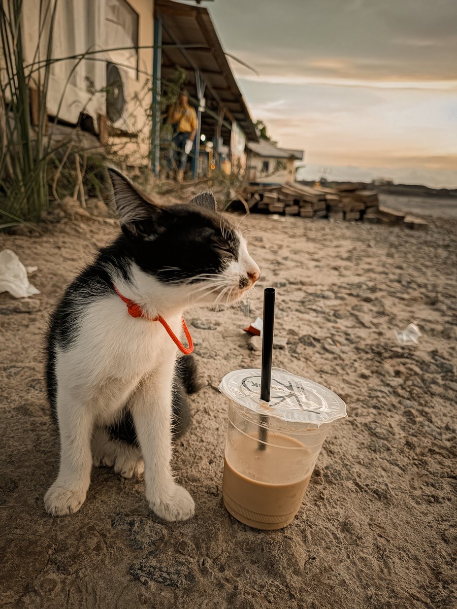 namanya lauk, nanti besar mungkin dia akan difungsikan sesuai namanya.