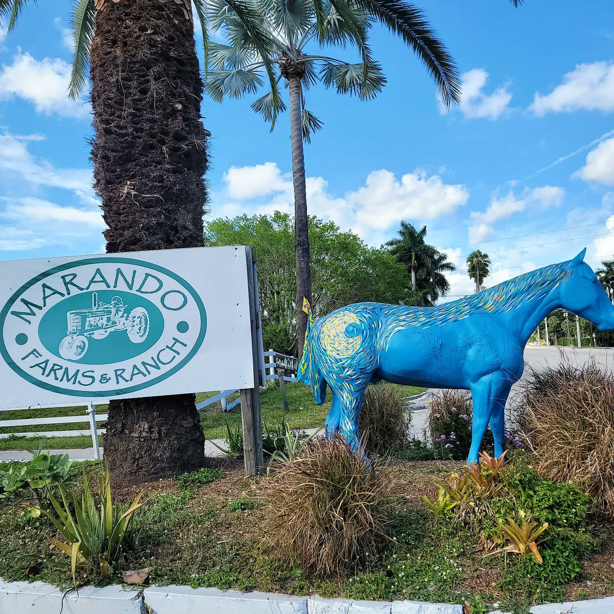 My 1st time at #MarandoFarmsandRanchRanch in #DavieFL. 🚜👨‍🌾👩‍🌾 They have a #garden, #food market, #pettingzoo & horseback riding 🐎🌱🪴

They also have #ZENBAR with a variety of #smoothies like #PurpleRain (#Blueberries, #Banana, #Cacao, #PeanutButter, & #AlmondMilk) 💜🌧🫐🍌🍫🥜