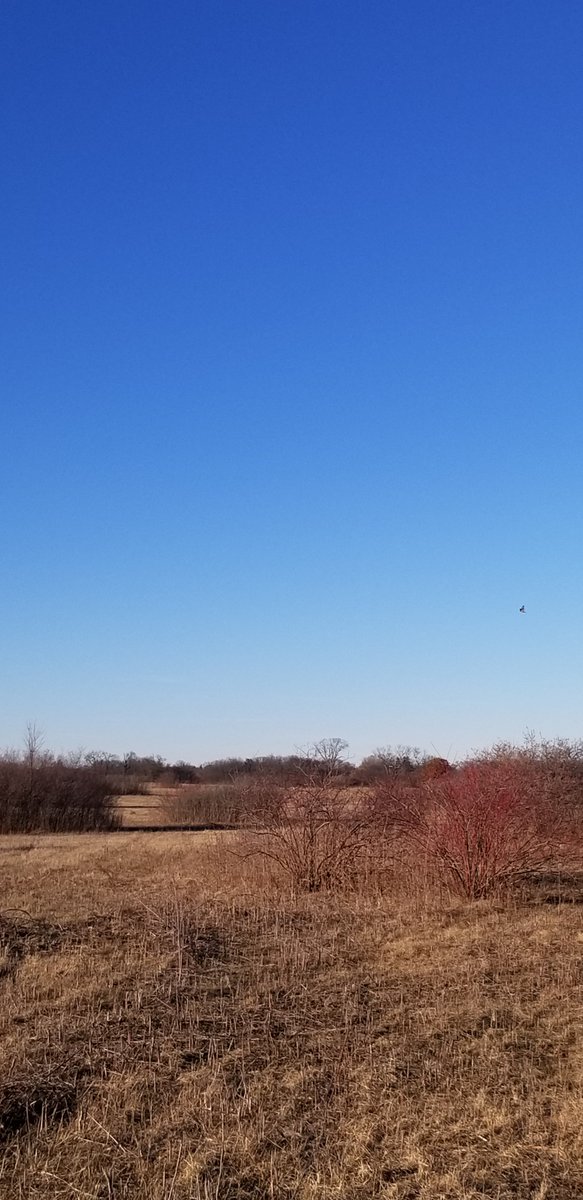Ryanilbasso's tweet image. Don&apos;t get too many late Saturday afternoon hikes, but this 5-miler sure was pretty.

Hope y&apos;all enjoy your Saturday evening.

#hikingadventures 
#Februaryfun
🥾☀️