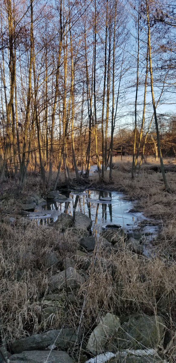 Ryanilbasso's tweet image. Don&apos;t get too many late Saturday afternoon hikes, but this 5-miler sure was pretty.

Hope y&apos;all enjoy your Saturday evening.

#hikingadventures 
#Februaryfun
🥾☀️