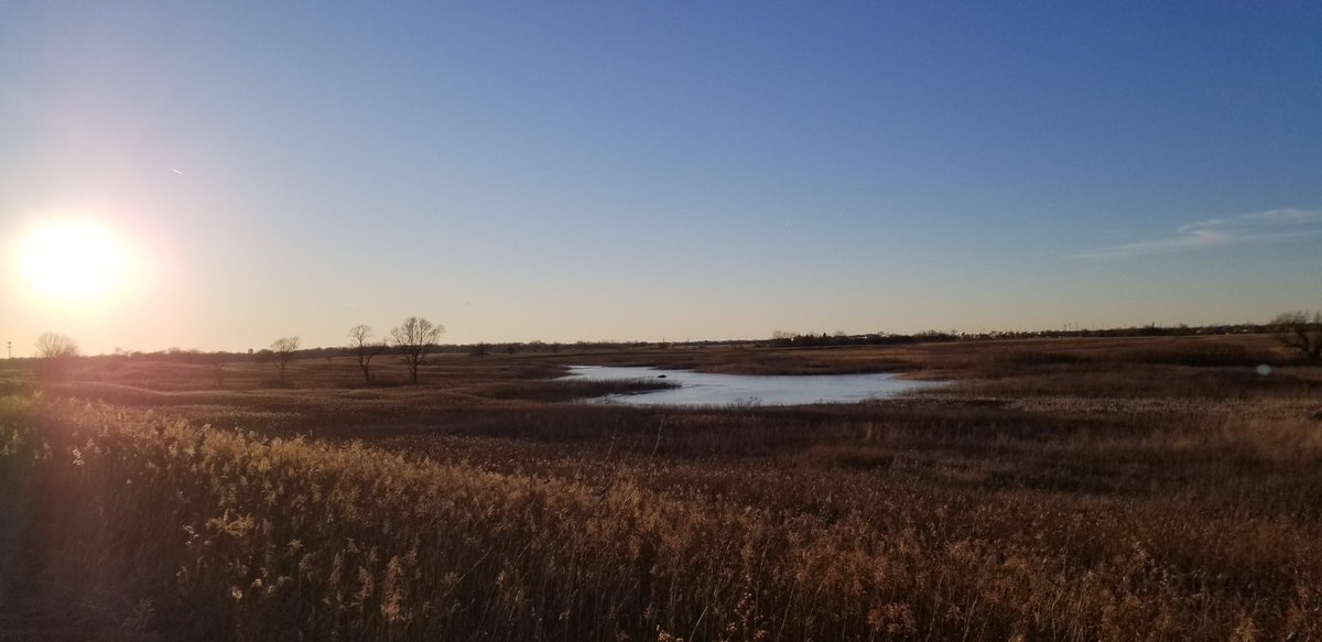 Ryanilbasso's tweet image. Don&apos;t get too many late Saturday afternoon hikes, but this 5-miler sure was pretty.

Hope y&apos;all enjoy your Saturday evening.

#hikingadventures 
#Februaryfun
🥾☀️