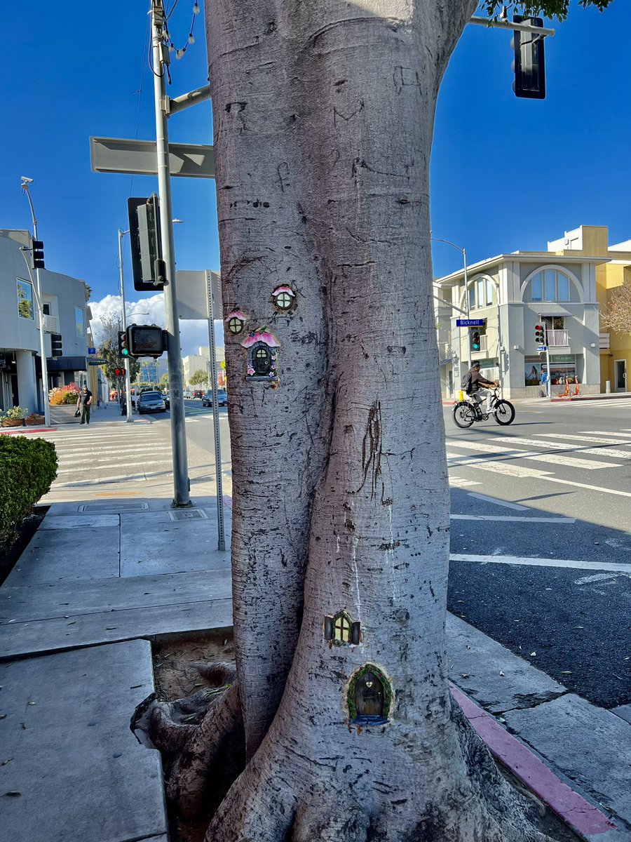 Jennifer Cabe tweet media