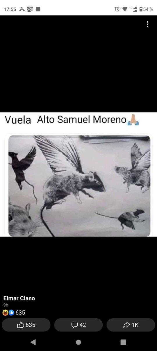 Edinsonjn's tweet photo. Una rata menos #SamuelMoreno al cielo de las porquerías
Necesitamos un #cáncer voluntario que mande a los #Nule a que le haga compañía https://t.co/de1xP5fKiB