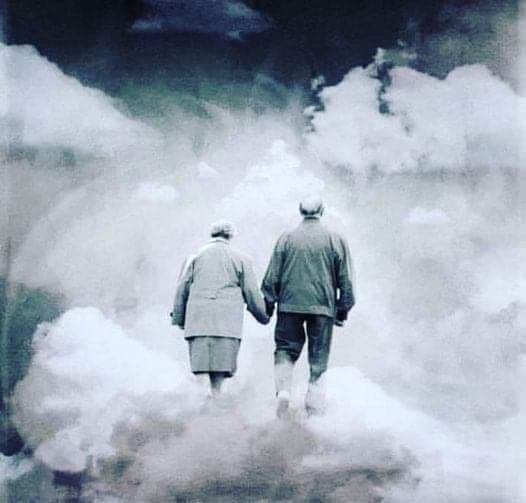 "Quan els pares se’n van”:
-Quan uns pares moren, res no torna a ser igual.
-Ja no tornarem a ser nens mai més, no ens sentirem abrigats per les abraçades, els petons i les paraules d'alè.
-Sembla que la vida es torna més dura perquè el seu recer ja no és al nostre costat.