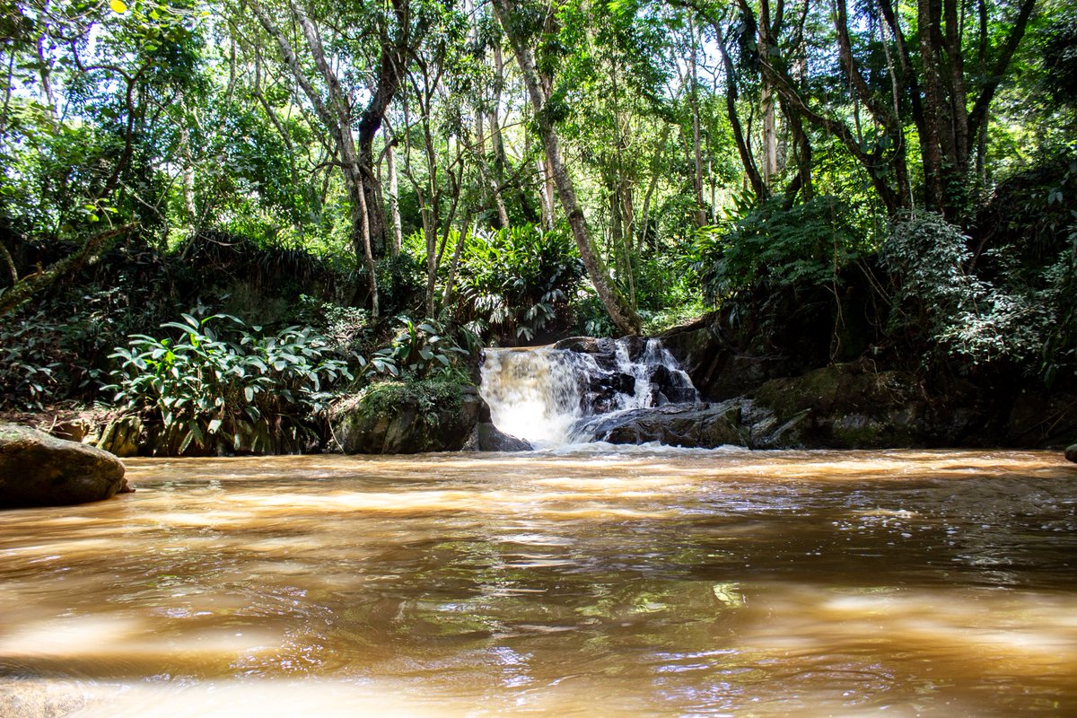 alfax2nd2's tweet photo. Brazil, a country of magical and mysterious places

#photo #photography #nature https://t.co/kLdwqArsyu