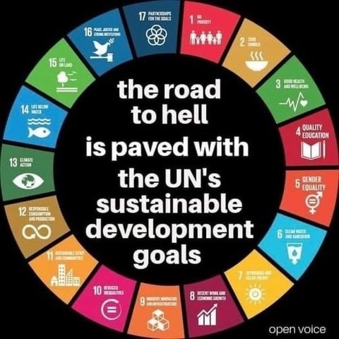 The elites and globalists are stealing our freedoms. Their Agenda 2030 is EVIL. Tyranny and dictatorship is coming.
#DontEatZeBugs #ClimateScam 
 #DutchFarmers #stemzeweg
 #ResistTheWEF #WEF23
#WEFpuppets #iksteunonzeboeren 
 #stemFVD #CBDC #wefisevil
#DiedSuddenlyVaccin