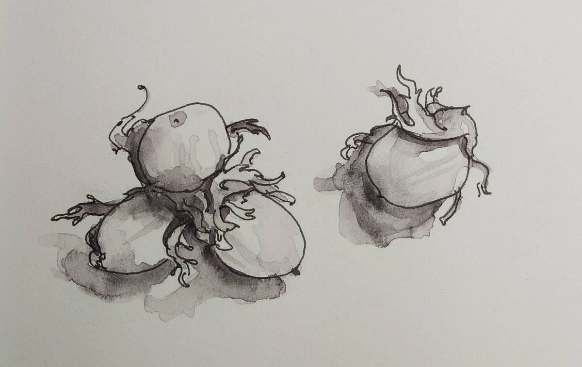 @SAOCousins.bsky.social tweet media