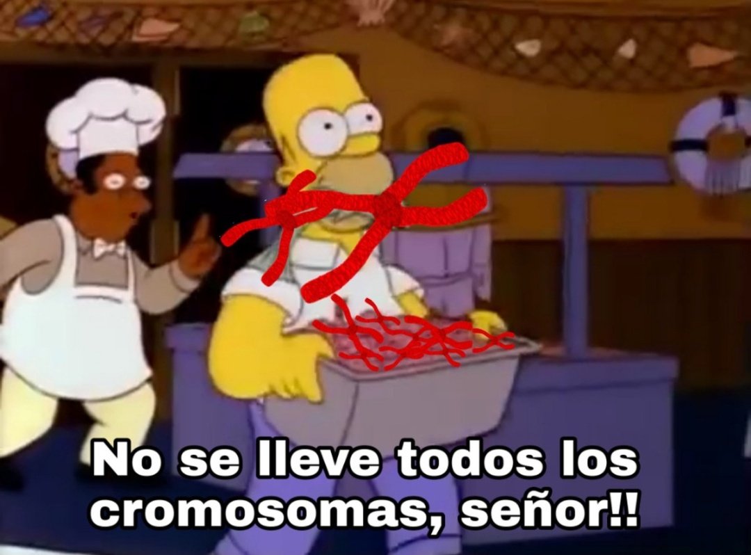 MrNobudd1e's tweet photo. @ComunidadMadrid https://t.co/sisX23xLZx