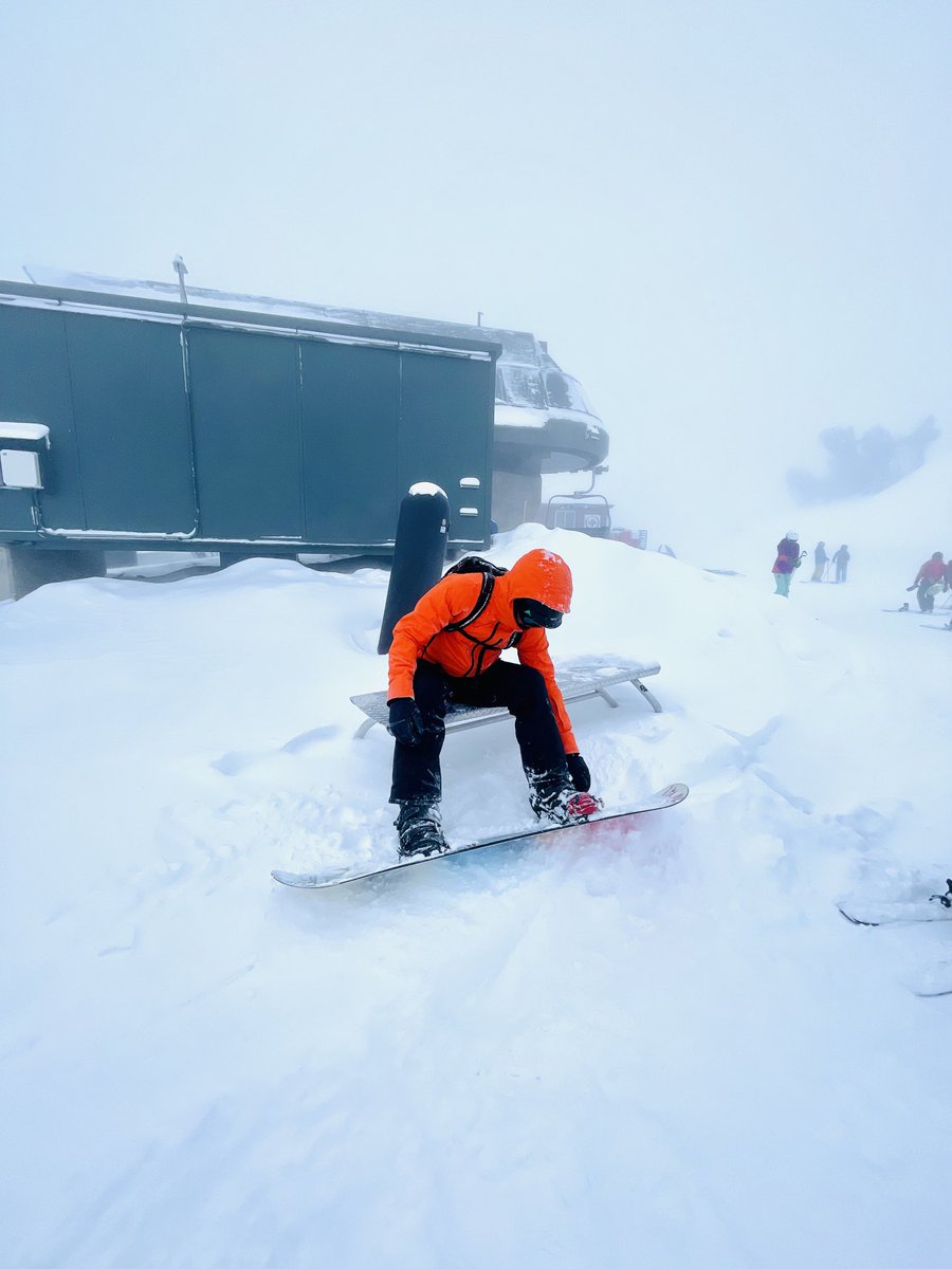 Helene Laube tweet media