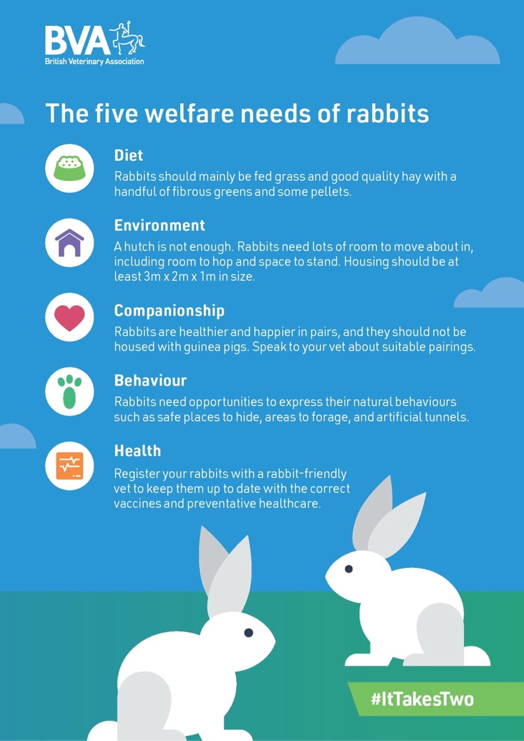rabbitfriendly's tweet photo. #ResQwalked 3.5mi on behalf of @rabbitrescue ! February is #adoptarabbitmonth 1st learn abt proper #rabbit care via BVA’s 5 welfare needs https://t.co/i5z0qH5gMz