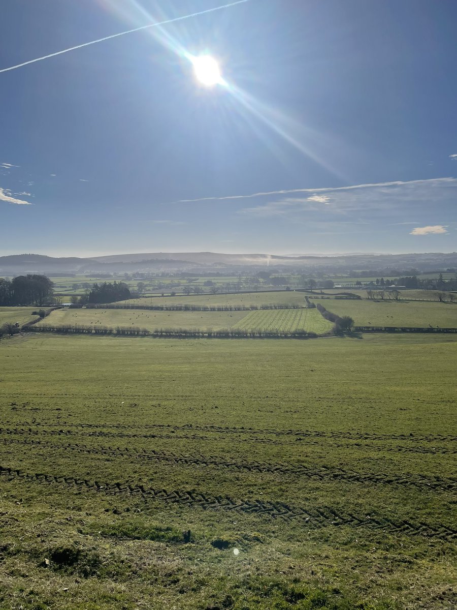 Ralphs Cider tweet media