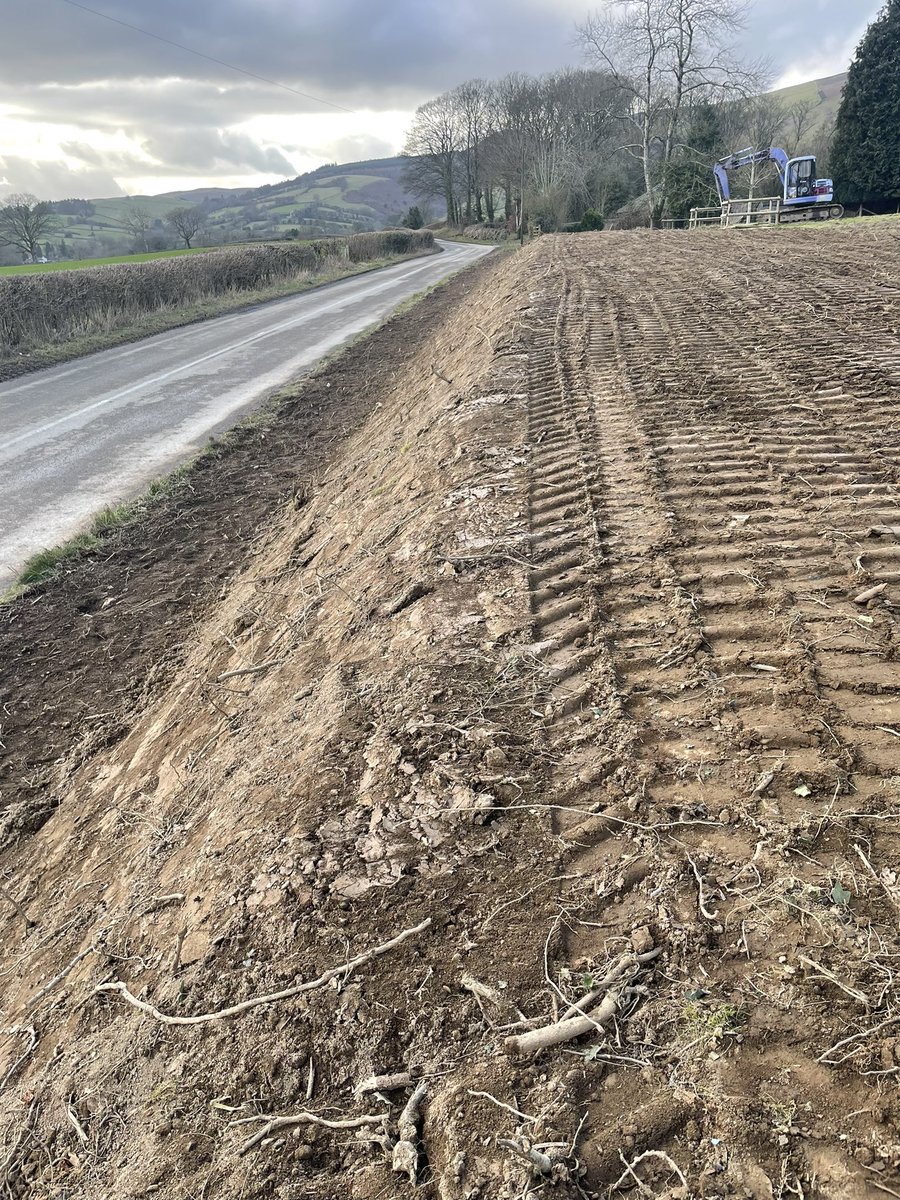 Ralphs Cider tweet media