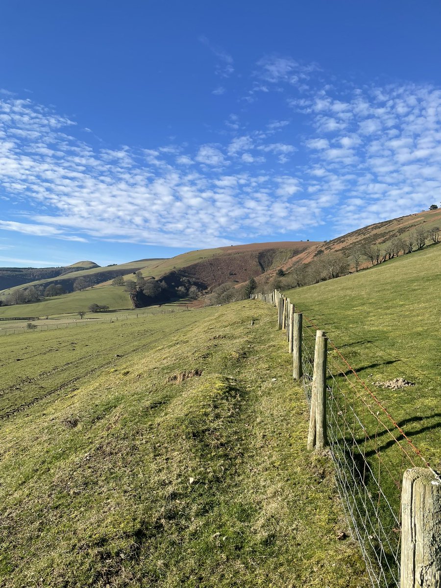 Ralphs Cider tweet media