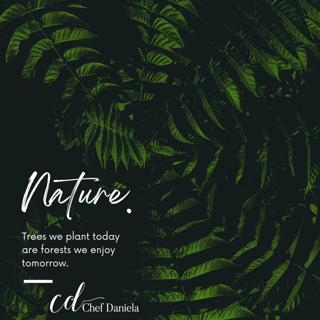 ChefDanielaSWFL's tweet photo. It's time to love nature and spend time in its magnificence. The trees we plant today are the forests we enjoy tomorrow! - Chef Daniela https://t.co/Qsjyo1p0b6
