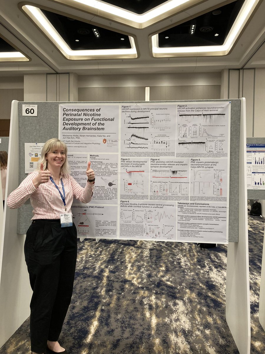 Come stop by <a href="/WolletMB/">Mackenna Wollet, PhD</a>’s poster (#60) today at <a href="/AROMWM/">ARO</a> to hear👂about her research on the consequences of nicotine exposure in the MNTB!