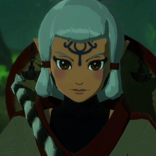 HatenoTechLab's tweet image. / / Sometimes I just sob because in the botw timeline, this is what they think they look like still.

They have no idea how much they look different.