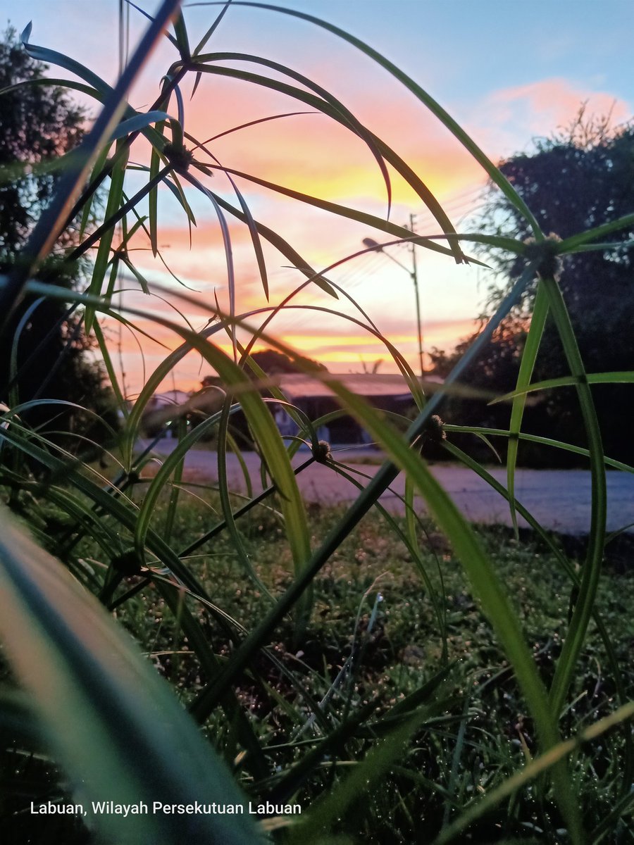maelshinoda's tweet photo. Sunday Sunrise  @LabuanFT morning uols https://t.co/sH6Siikiia