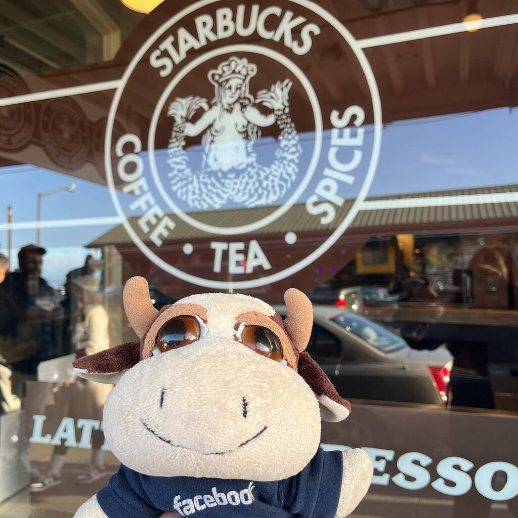 Spending the day exploring our favourite Seattle spots! I’m a <a href="/starbucks/">Starbucks</a> cow at heart! #starbucks #marlowmoo #moo #seattle #pikeplacemarket #firststarbucks #coffee instagr.am/p/CoikBp1Pibw/