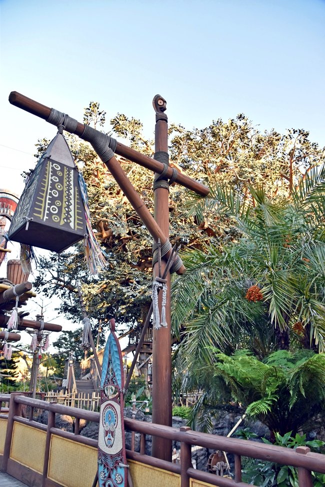 冬の葉、ナツメヤシ、オリーブのサラダのレシピ