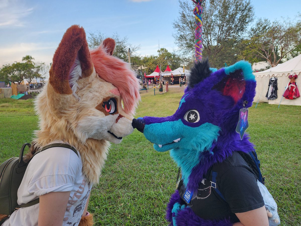 ElocinNakamoto's tweet photo. Great time at renfest today!!
Went with the gang uwu 
Here's pics of me and the bae Amaranth!! https://t.co/HGjrWaHAqP