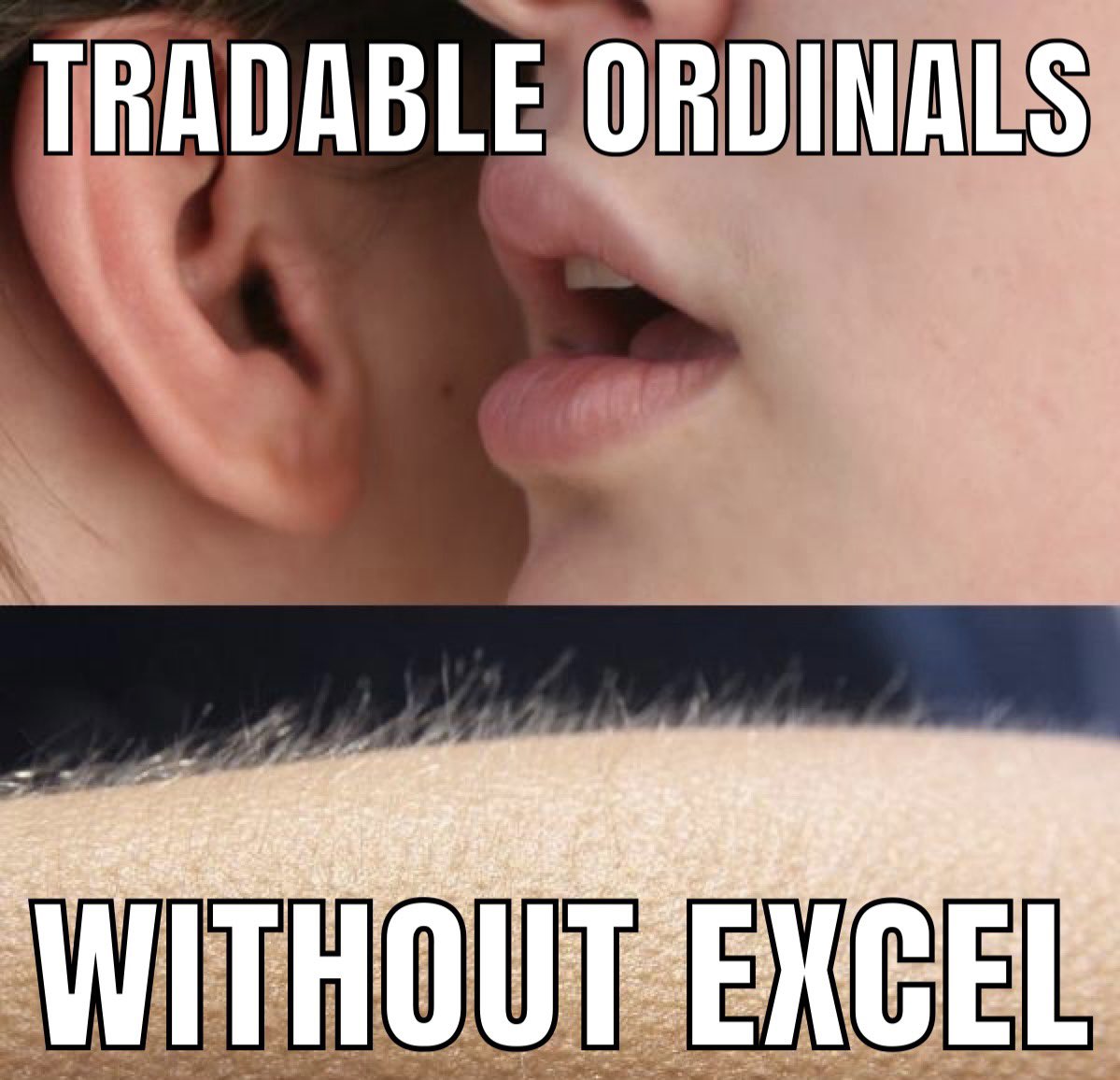 sleak.house tweet media