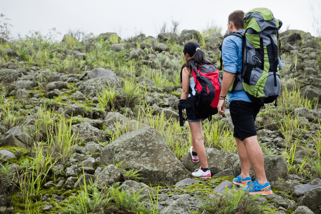 Los mejores destinos y panoramas para celebrar el Día de los Enamorados dlvr.it/SjHKB0