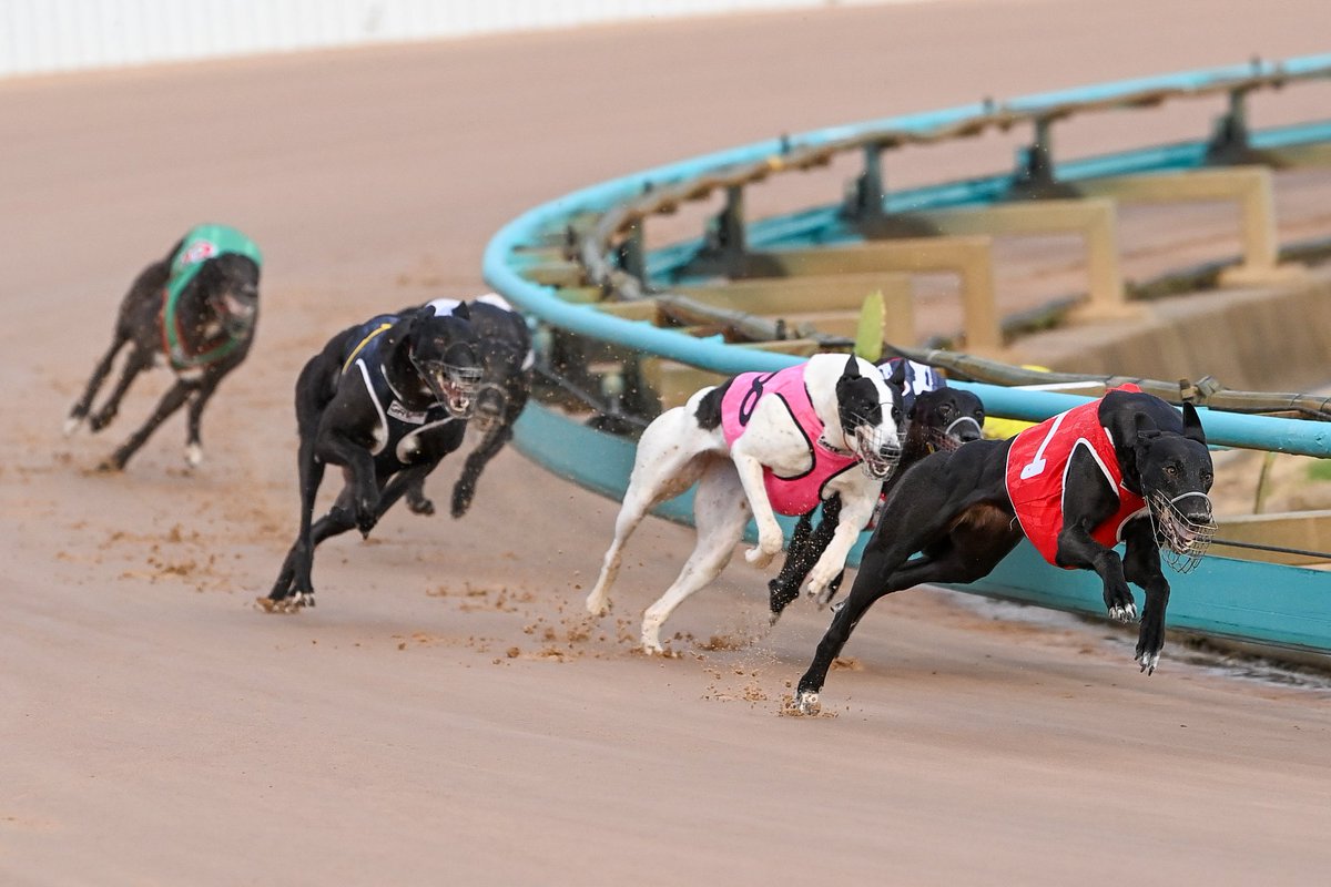 RSN Racing & Sport (@rsn927) on Twitter photo GROUP 1 GREYHOUNDS:
Nathan Rooney and Andrew Kuuse wrap up Group 1 action last night <a href="/MelbourneGreys/">Melbourne Greyhounds - The Meadows</a> <a href="/GRV_News/">Greyhound Racing Victoria</a> <a href="/RSN927/">RSN Racing & Sport</a> - listen here!
traffic.megaphone.fm/NNNRS841448777… GROUP 1 GREYHOUNDS:
Nathan Rooney and Andrew Kuuse wrap up Group 1 action last night <a href="/MelbourneGreys/">Melbourne Greyhounds - The Meadows</a> <a href="/GRV_News/">Greyhound Racing Victoria</a> <a href="/RSN927/">RSN Racing & Sport</a> - listen here!
traffic.megaphone.fm/NNNRS841448777…