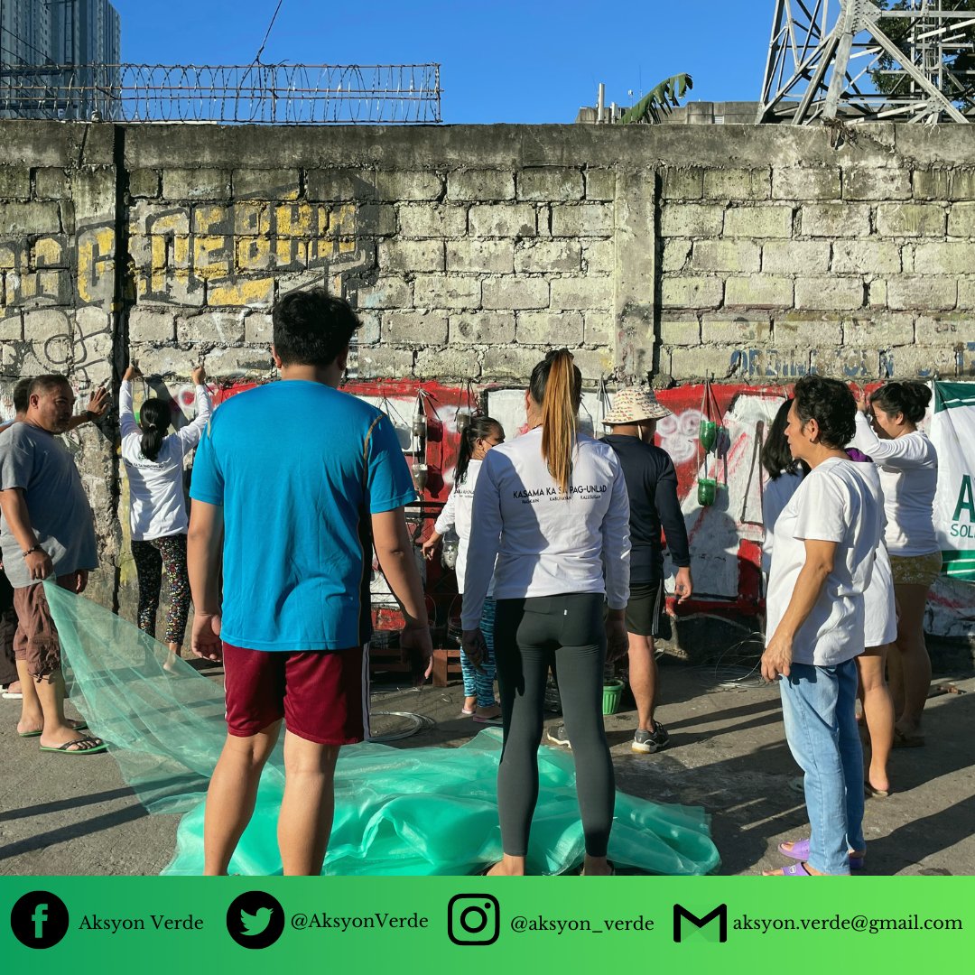 AksyonVerde's tweet photo. QUEZON CITY– In an effort to proactively maximize the streets of NIA Road, the @AksyonVerde installed a vertical urban garden dubbed ‘NIA Rd. Community Garden’ to address the concern on food security, hunger, and adaption to rising agri-commodities due to inflation. https://t.co/xgsnZdonx4