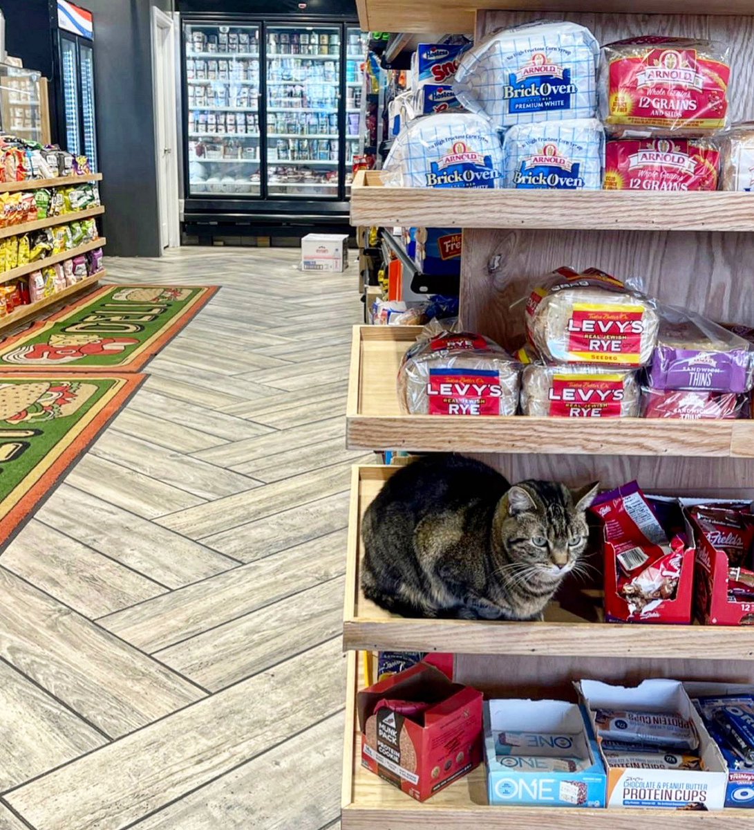 Breaded Cats tweet media