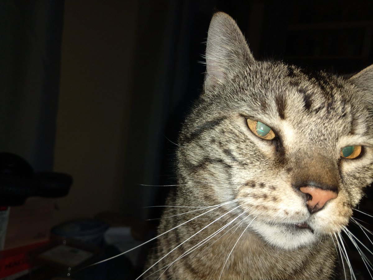 Inactive Account tweet media