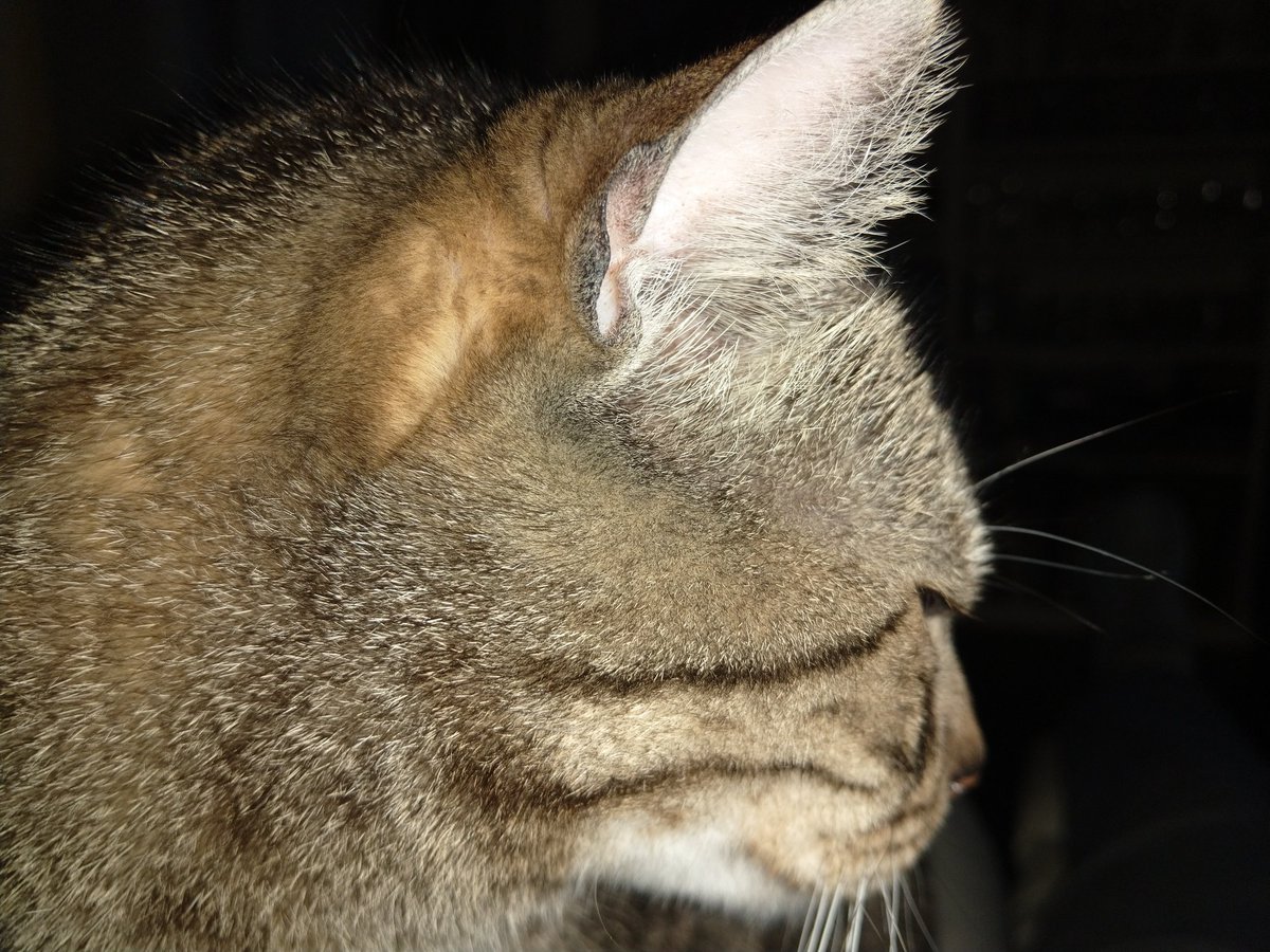 Inactive Account tweet media