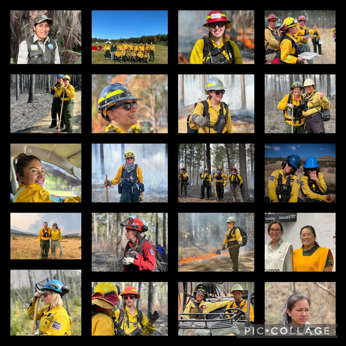 Here's to all the amazing women in Science #IDWGS Whether it's #fire science and operations 🔥, #vegetation management 🌱, protected area #conservation ￼🦫, #research 👩🏻‍💻, it's better with you involved! 💙 

Looking forward to @WomensTREX in @BanffNP this spring!!