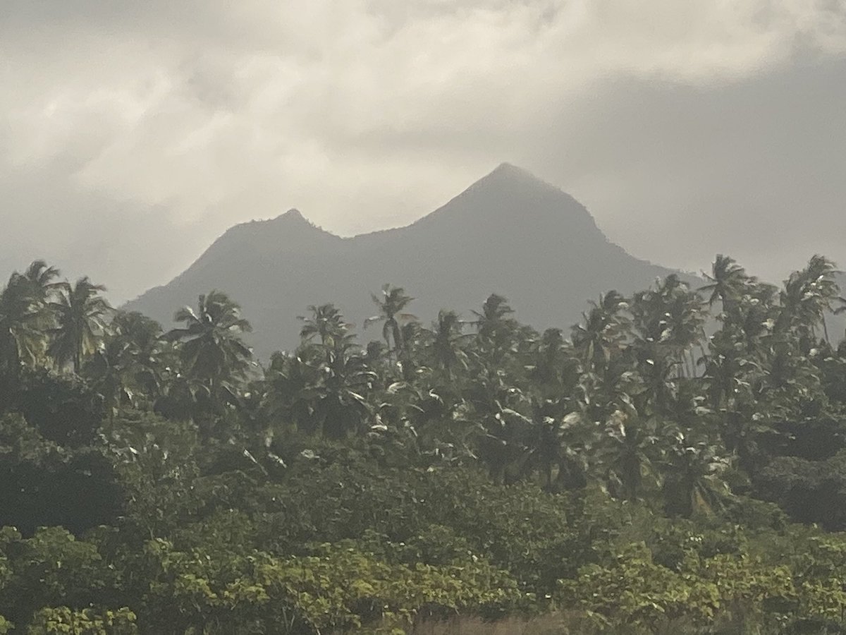 ABCbirdsMarine's tweet photo. The #Diablotin, namesake of the highest mountain of #Dominica, hasn’t been seen nesting on the island for 100 years.  Can #ExpeditionDiablotin change that?  Follow along to find out!  @ABCbirds @SeabirdEcology @BirdsCaribbean @EPICislands @4ocean @PackardFdn @the_ocean_5 https://t.co/7IUfSYffoe