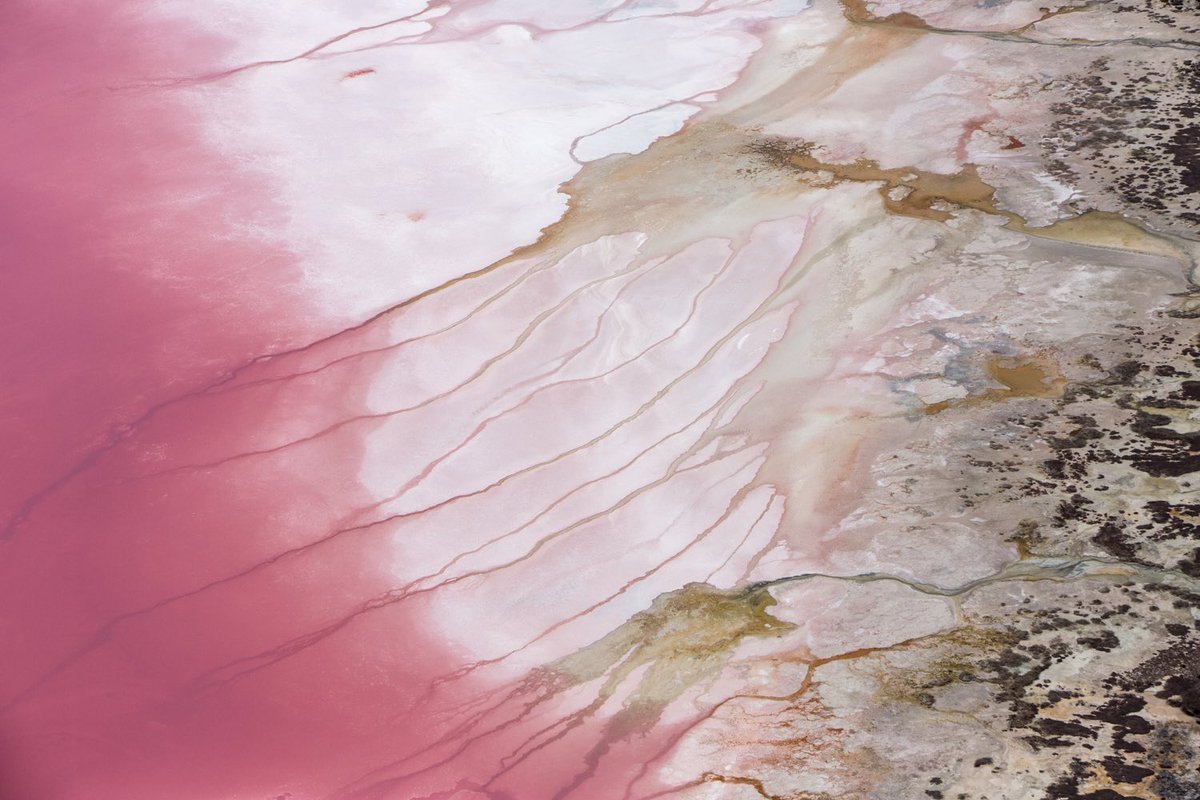 🌅 “You don’t make a photograph just with a camera. You bring to the act of photography the life you have lived” DDP 
🎆 Sel Rose (Pink Salt), series of images was photographed flying above the Western Australian’s Coral Coast #Huttlagoon 
View: martineperret.shop/products/sel-r…
#aerial