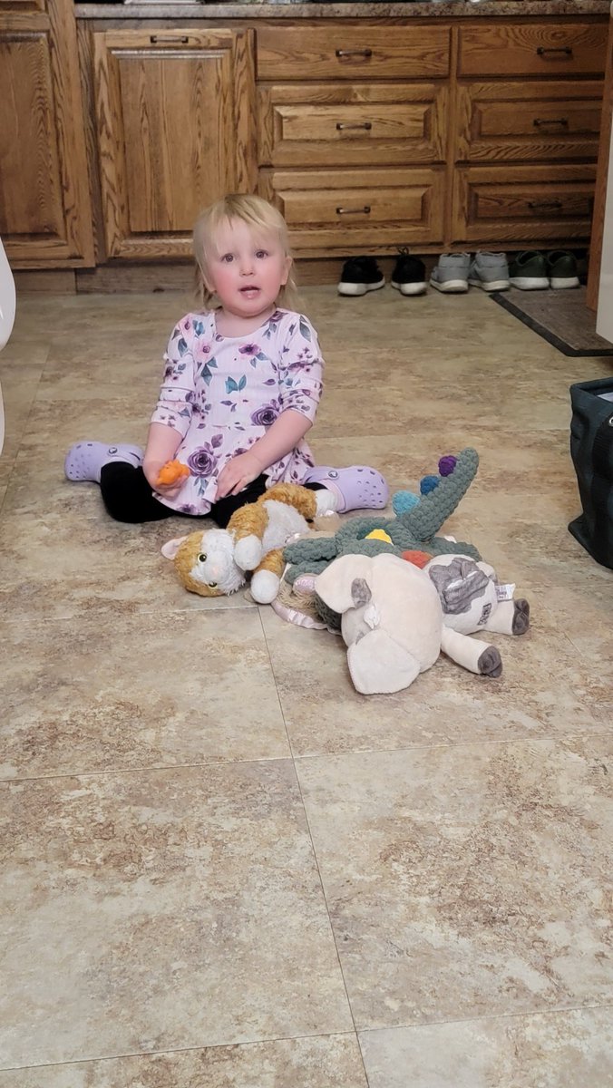 ToeCrackinOs's tweet photo. Immediately preceding this picture, where she is mid meow, she held both cats and said "mommy kitty baby kitty".
She said dinosaur today. Di-no-saur.
She will be 2 in March. Amazing.
#DailySterliUpdate https://t.co/14iyGpMK1x