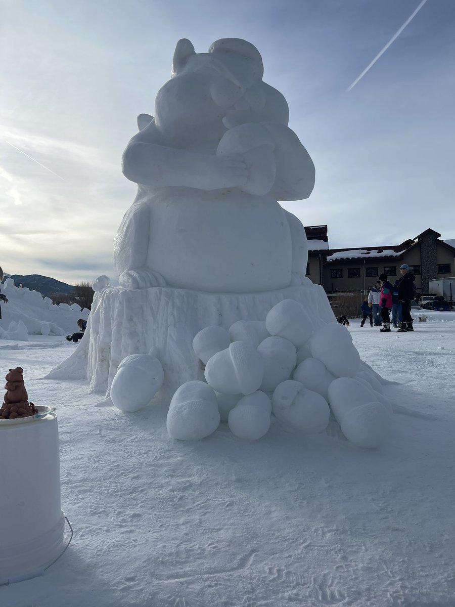 @DSchatteMD tweet media