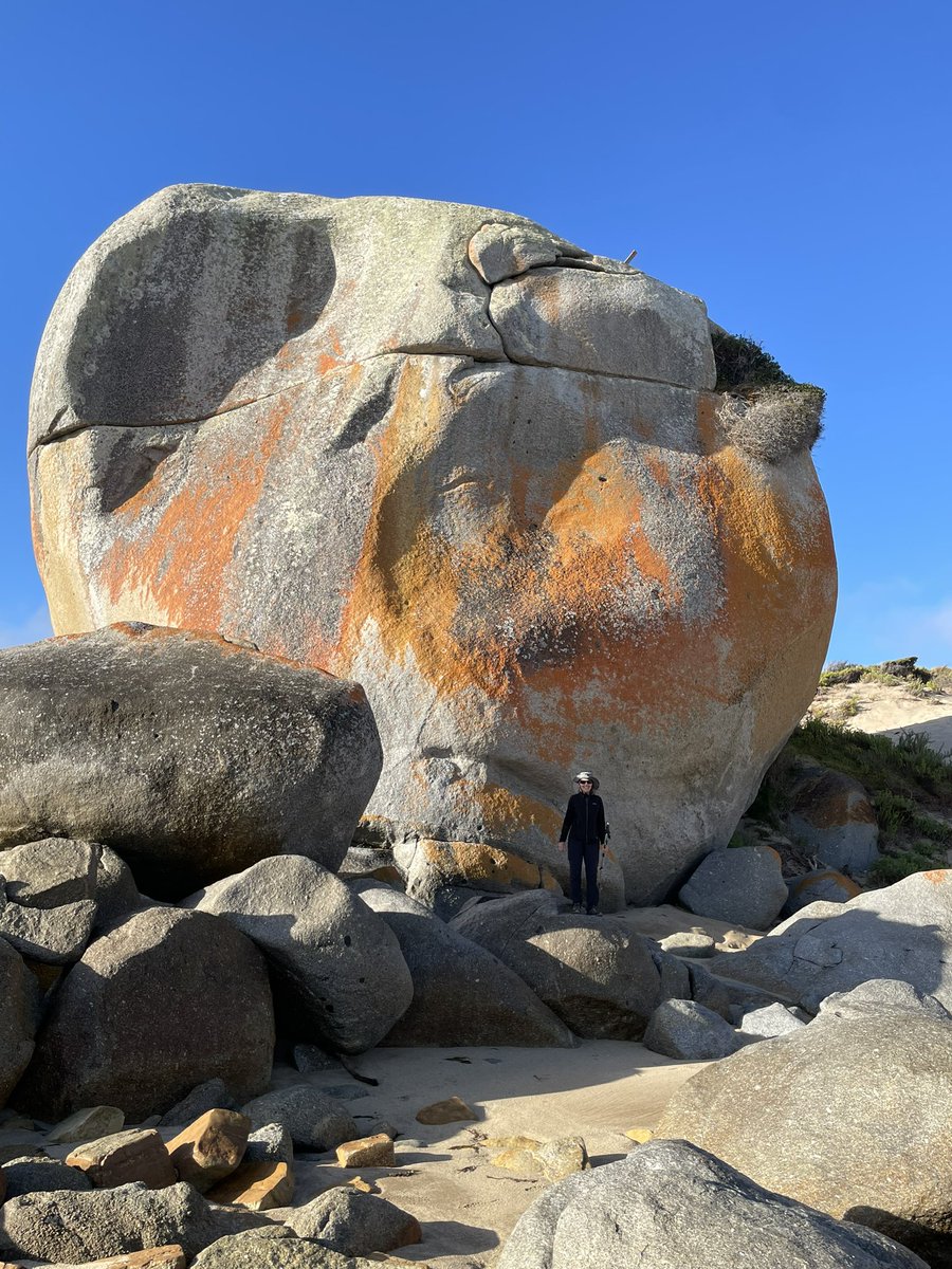 ocelotte's tweet photo. #FlindersIsland adventures. Climbed #MtStrzelecki and #MtKilliecrankie. Trouser Point and Castle Rock walks. Snorkel at Palana, Killiecrankie, West End, Trouser Point and Sawyer Bay. 4WD to Logan’s Lagoon, Cameron Inlet and the Patriarch’s.  Refreshments at #FurneauxDistillary. https://t.co/H2M56UJipv