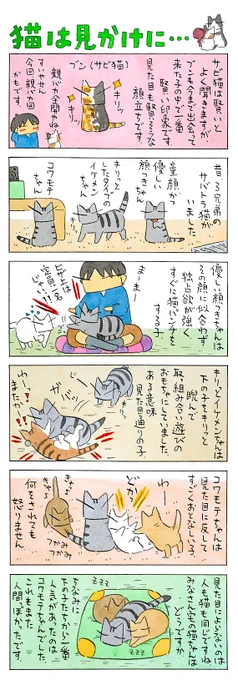 「顔に出る?」見た目通りな子。見かけによらない子。内側と外側の面白い関係。猫同士ではどのように見えているのでしょうか。(久保智昭さんの「猫色スケッチブック」)つづきはこちら⇒ 