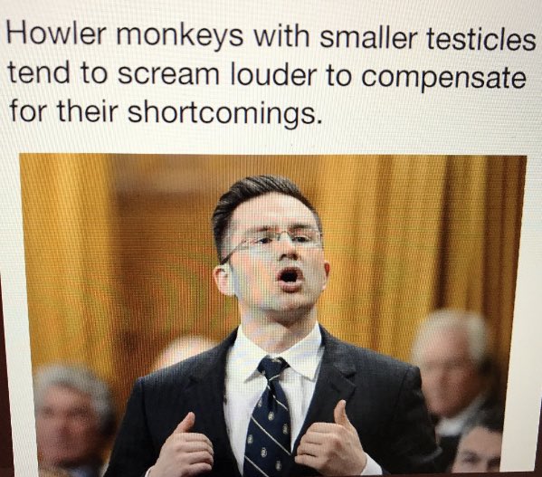 AnneBreto7's tweet photo. @stephdunlop @PierrePoilievre How’s Putin doing?? #RUASSets https://t.co/6n0UmYMr7a