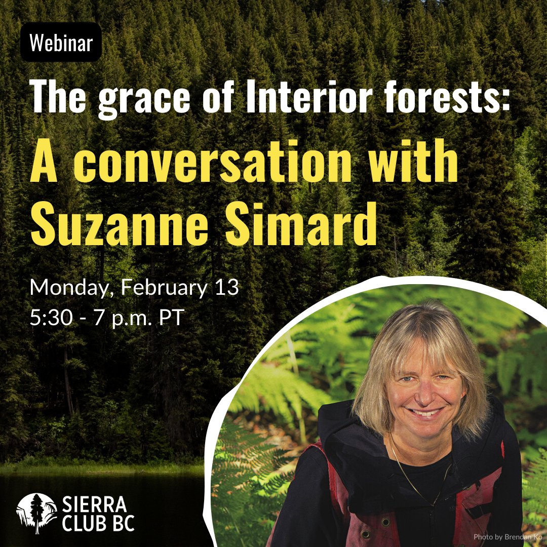 SierraClub's tweet photo. We’ll be chatting about everything from the beings that call them home, their resiliency, the economic opportunities forest restoration holds and our collective responsibility to better care for these vital ecosystems.

Register here: https://t.co/wajjQbA4D6 https://t.co/ZsgCh2GnEO